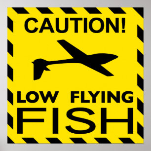 "Low Flying Fish" Poster