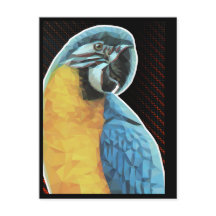 Low Poly Macaw