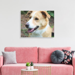 Low-Poly Shelter Dog on a Leash Canvas Print