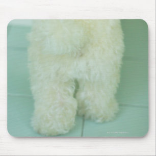 Low section view of a miniature poodle mouse mat