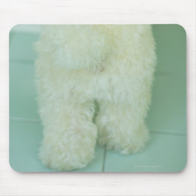 Low section view of a miniature poodle mouse mat (Front)