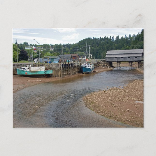 Low tide at the Bay of Fundy at St. Martins, New Postcard (Front)