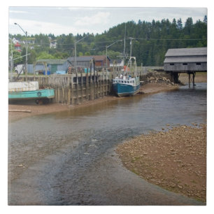 Low tide at the Bay of Fundy at St. Martins, New Tile