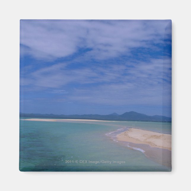 Low tide at the beach magnet (Front)