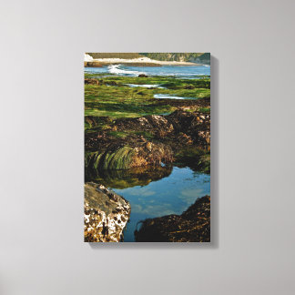 Low tide at the Pacific Ocean on fine art Canvas Print
