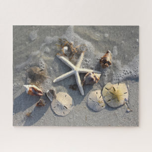 Low Tide Beach Treasures, Florida Jigsaw Puzzle