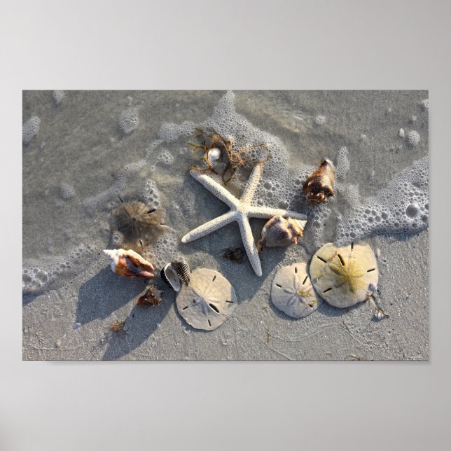 Low Tide Beach Treasures Poster (Front)