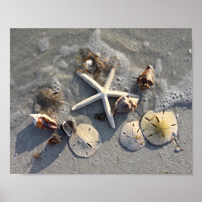 Low Tide Beach Treasures Poster (Front)