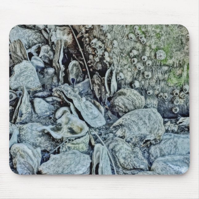 Low Tide Beauty Oyster Bed Mouse Mat (Front)