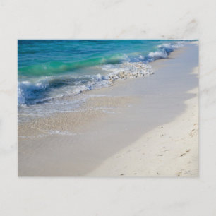 Low Tide Postcard