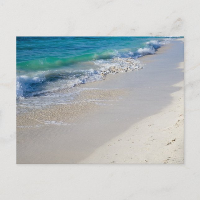Low Tide Postcard (Front)