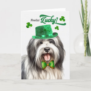 Lowchen Dog Feelin' Lucky St Patrick's Day Holiday Card