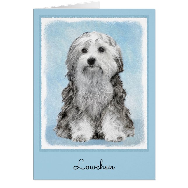 Lowchen Painting - Cute Original Dog Art (Front)