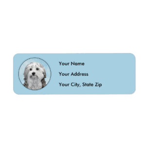 Lowchen Painting - Cute Original Dog Art