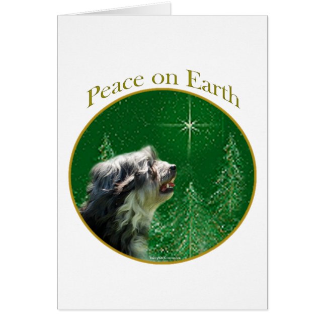 Lowchen Peace (Front)