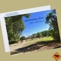 Lowcountry Horse Trail Rides Hilton Head Island SC