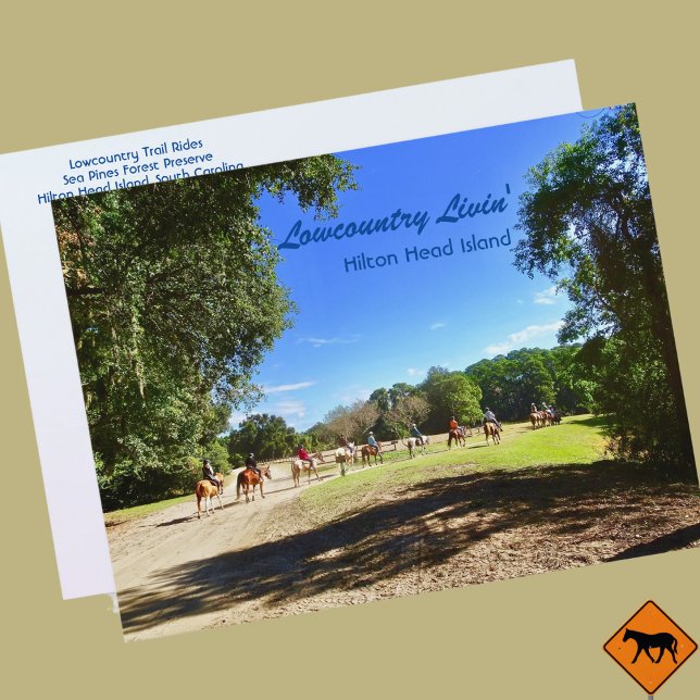 Lowcountry Horse Trail Rides Hilton Head Island SC Postcard (Creator Uploaded)
