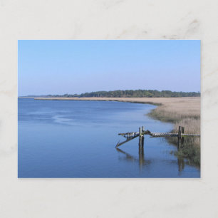Lowcountry, SC - Postcard