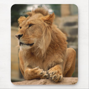 Löwe mit Punkerfrisur Mouse Mat