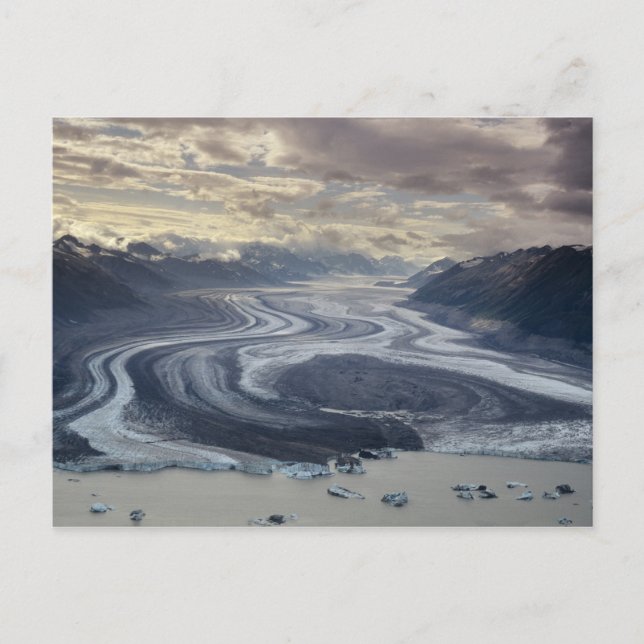 Lowell Glacier flows into the Alsek River in Postcard (Front)