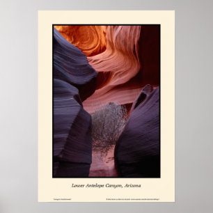 Lower Antelope Canyon Tumbleweed Poster 20" x 28"