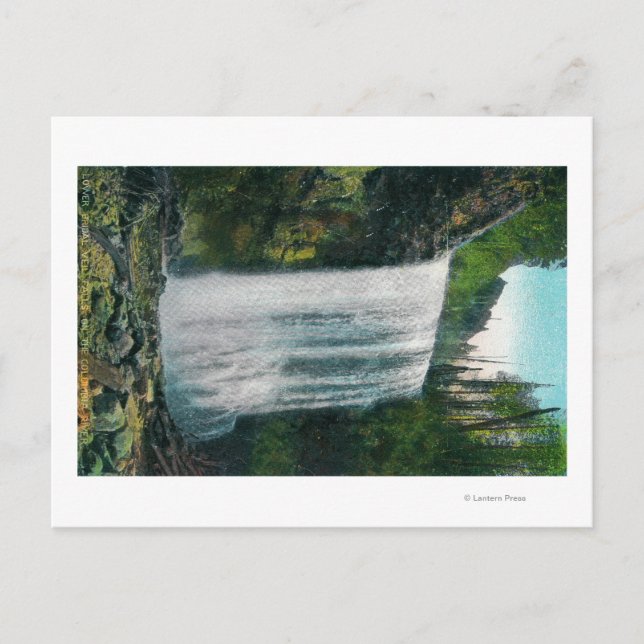 Lower Bridal Veil Falls on Colubia River Postcard (Front)