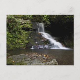 Lower Catawba Falls Postcard