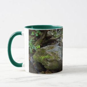 Lower Dark Hollow Falls, Shenandoah Mug