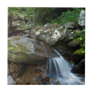 Lower Dark Hollow Falls, Shenandoah Tile