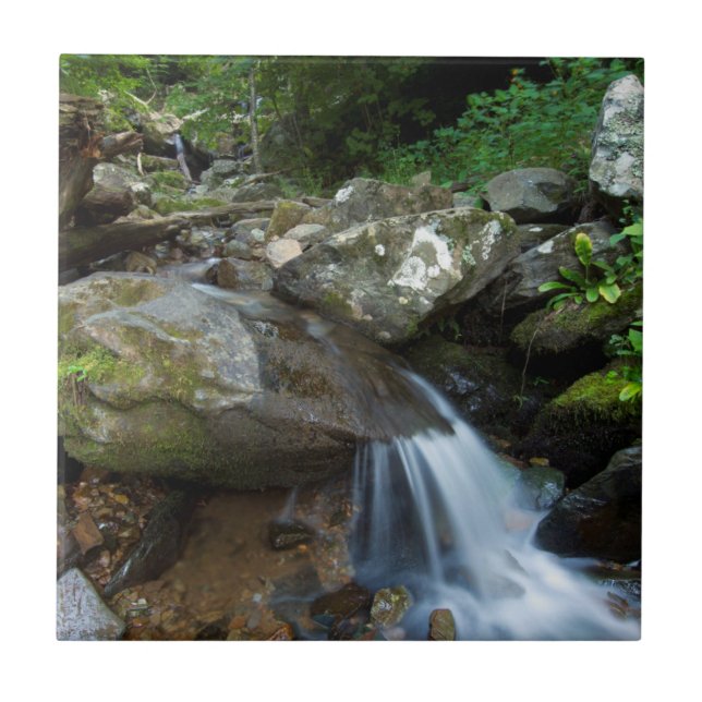 Lower Dark Hollow Falls, Shenandoah Tile (Front)