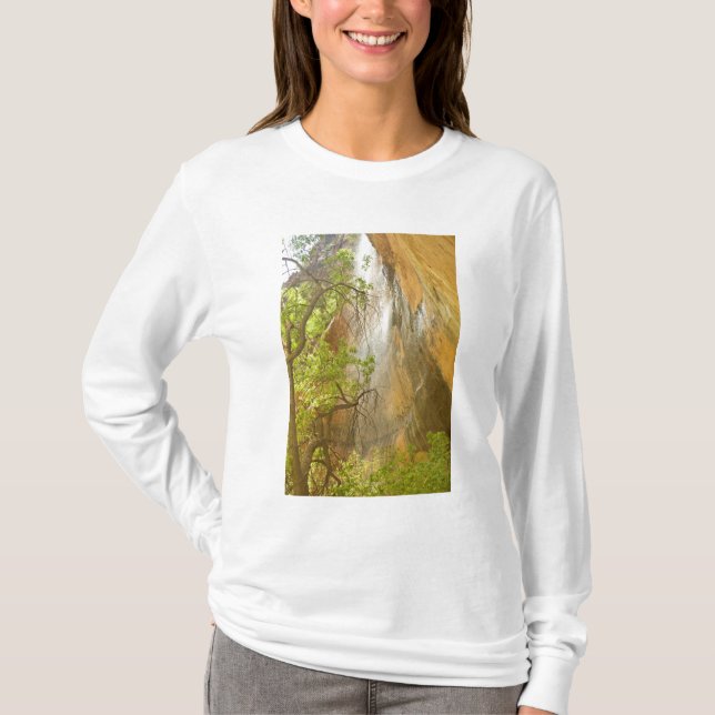 Lower Emerald Pool Waterfall Red rock and Tree T-Shirt (Front)