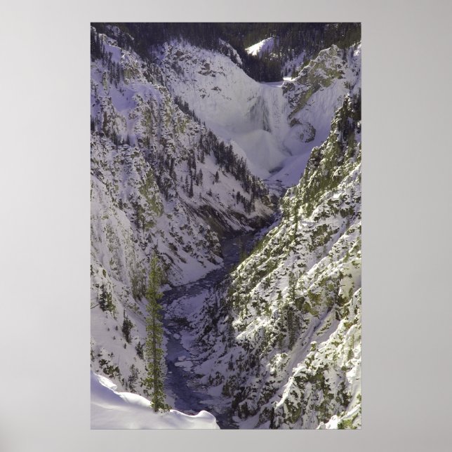 Lower Falls Grand Canyon of the Yellowstone Poster (Front)