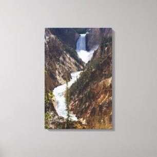 Lower Falls Yellowstone Canvas Print