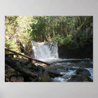 Lower Johnson Falls Poster