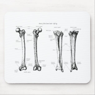 Lower Limb Grey Mouse Mat