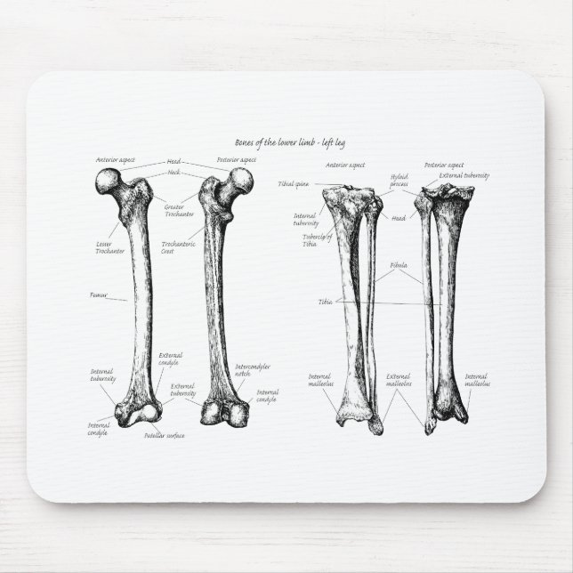 Lower Limb Grey Mouse Mat (Front)
