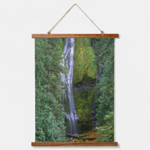Lower Proxy Falls   Willamette National Forest Hanging Tapestry