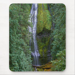 Lower Proxy Falls   Willamette National Forest Mouse Mat