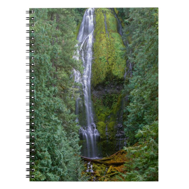 Lower Proxy Falls | Willamette National Forest Notebook (Front)
