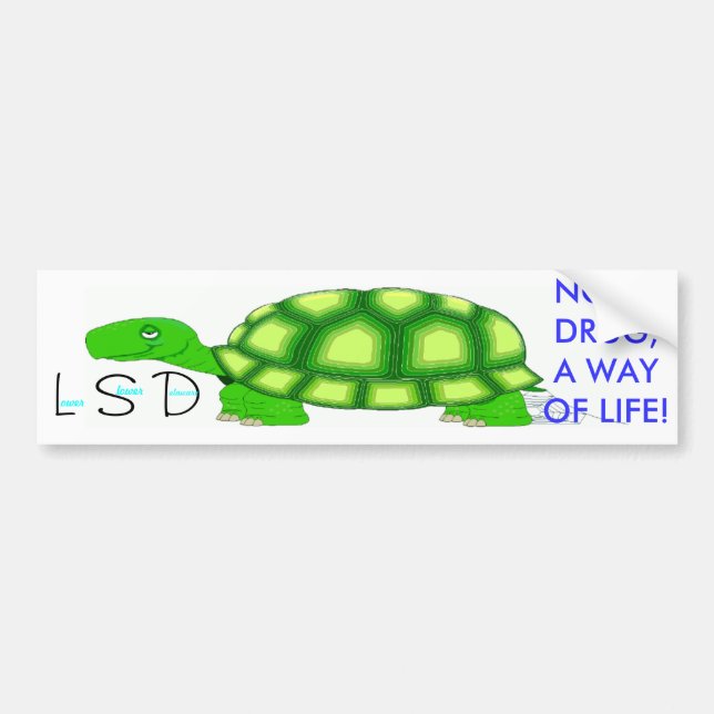 Lower Slower Delaware Bumper Sticker (Front)