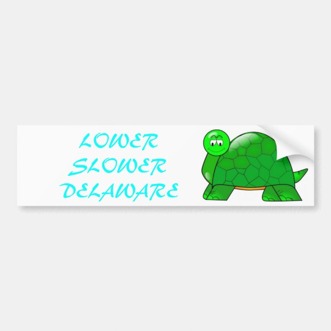 Lower Slower Delaware Bumper Sticker (Front)