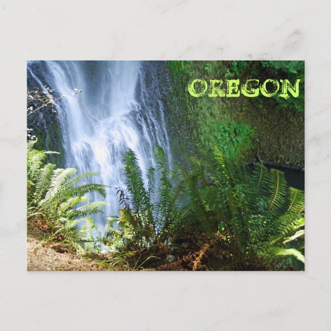 Lower South Falls Postcard (Front)