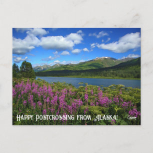 Lower Summit Lake Postcrossing - Postcard