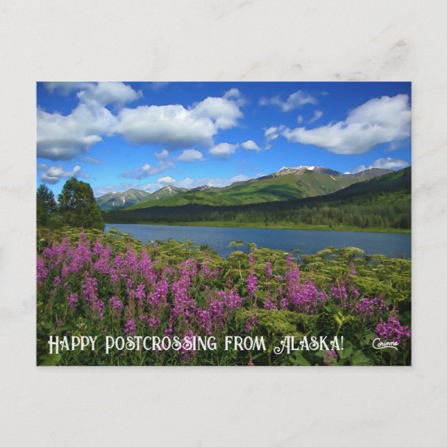 Lower Summit Lake Postcrossing - Postcard (Front)