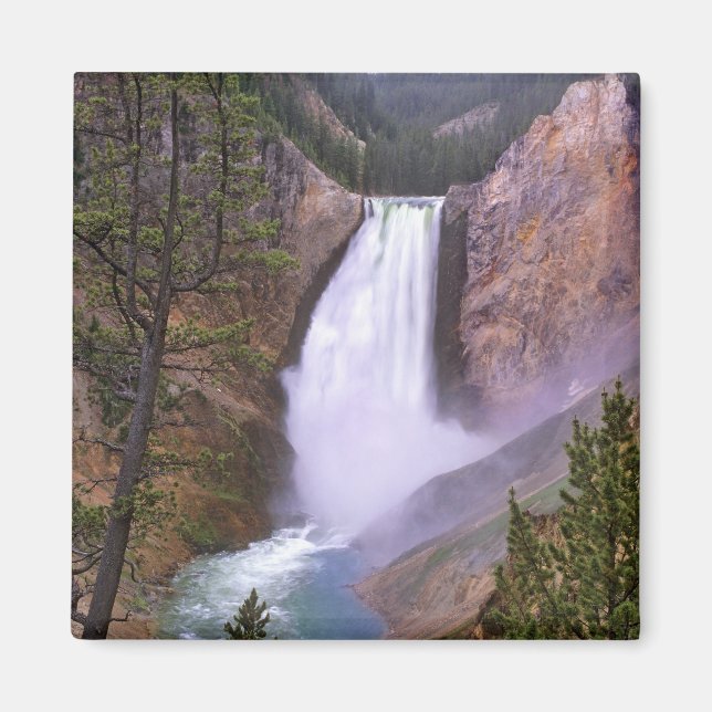 Lower Yellowstone Falls, Grand Canyon of Magnet (Front)