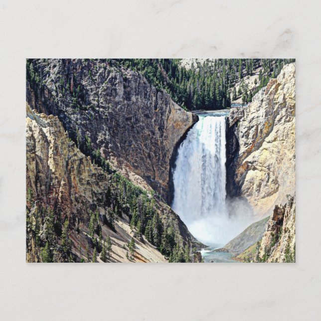 Lower Yellowstone Falls Postcard (Front)