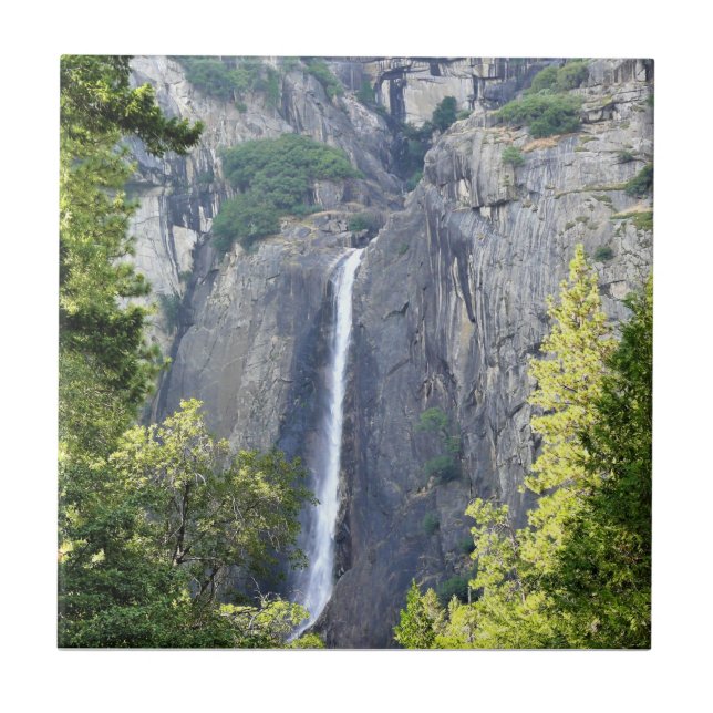 Lower Yosemite Falls, Yosemite National Park, CA Tile (Front)