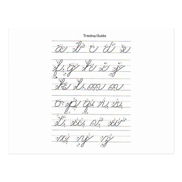 Lowercase Cursive Guide Postcard Zazzle co uk