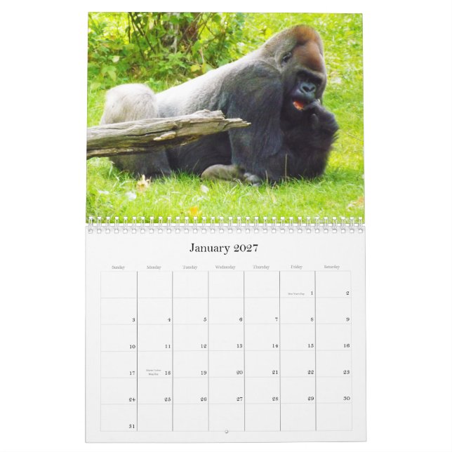 Lowland Gorillas of the Kansas City Zoo Calendar (Jan 2027)