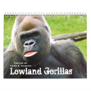 Lowland Gorillas of the Kansas City Zoo Calendar